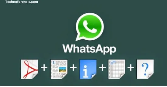  whatsapp file sharing